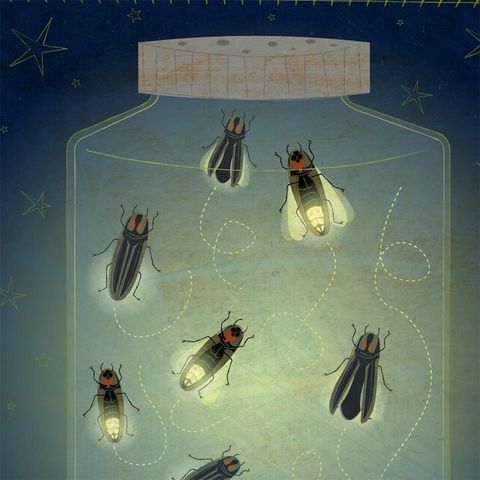 The,Enlightened,Fireflies,Print,8,in,x,10,Art,Illustration,digital,firefly,fireflies,cute,whimsical,blue,yellow,paper,ink