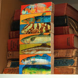 product images  of 