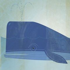 Product images  of 