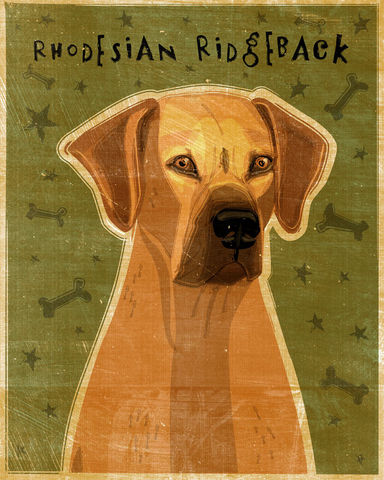 Rhodesian,Ridgeback,Art,-,Print,8,in,x,10,Illustration,whimsical,cute,animals,boxer,dog_art,pet,puppy,canine,rhodesian_ridgeback,paper,ink