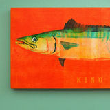 product images  of 