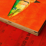 product images  of 