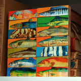 product images  of 
