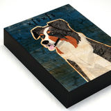 product images  of 