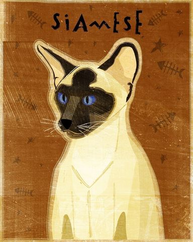 Seal,Point,Siamese,Cat,Print,8,in,x,10,Art,Illustration,digital,whimsical,cute,animals,animal,cat,siamese,paper,ink