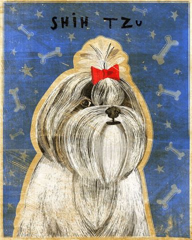 Shih,Tzu,Print,8,x,10,Art,Illustration,digital,whimsical,cute,dog,animals,animal,shih_tzu,shihtzu,paper,ink