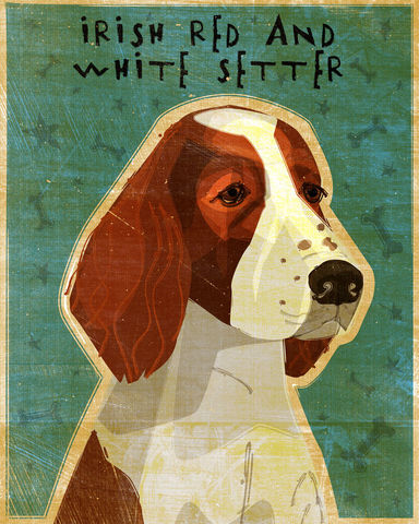 Irish,Red,and,White,Setter,Dog,Art,-,Various,Sizes,Illustration,Print,whimsical,cute,animals,dog_art,pet,puppy,canine,brown,Irish_red_and_white,setter,paper,ink