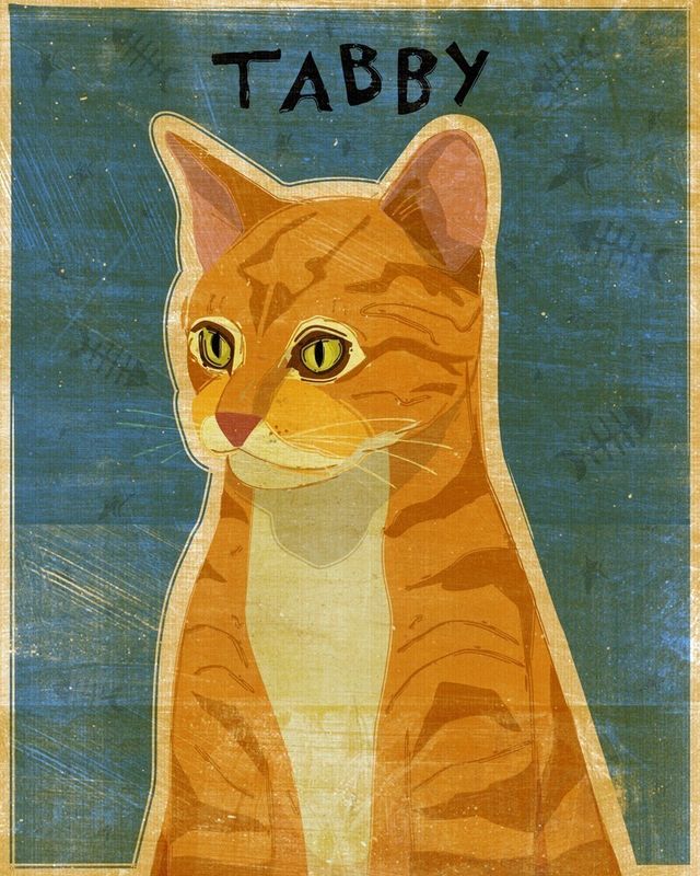 Ginger Tabby Print 8 x 10 - product images