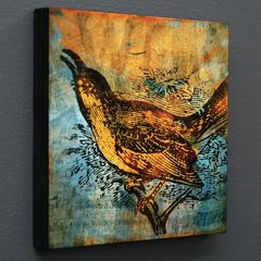 Product images  of 