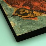 product images  of 