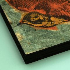 Product images  of 