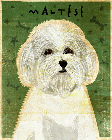 Maltese,-,Dog,Art,Print,8,in,x,10,Illustration,whimsical,cute,animals,dog_art,pet,puppy,Dog_Print,maltese,paper,ink