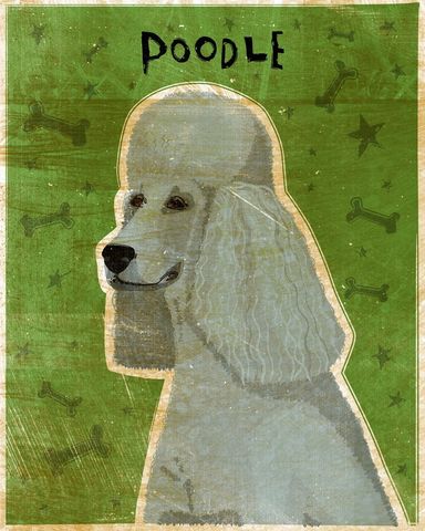 Poodle,(Gray),Print,8,in,x,10,art,illustration,print,digital,whimsical,cute,dog,animals,animal,poodle,gray,green,paper,ink