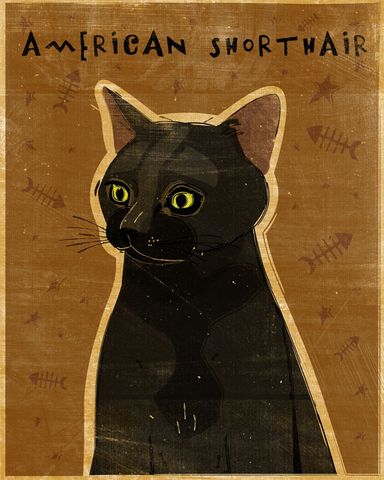 American,Shorthair,Black,Cat,Print,8,in,x,10,Art,Illustration,digital,whimsical,cute,animals,animal,cat,black,shorthair,paper,ink
