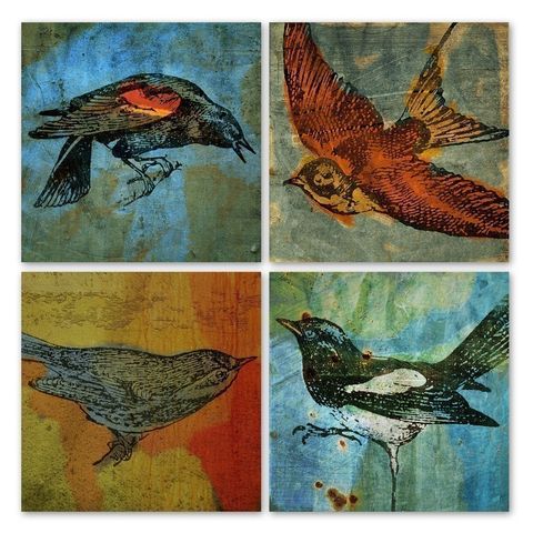 Bird,Collages,Set,of,4,Prints,5,in,x,Art,Collage,Digital,digital,collage,animal,bird,magpie,blackbird,warbler,sparrow,texture,camera,paper