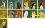 product images  of 