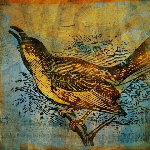 Mockingbird,No.,1,Print,8,in,x,Art,Mixed_Media,Altered,vintage,bird,johnwgolden,animal,print,mockingbird,camera,paper