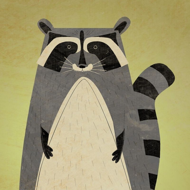 The Artful Raccoon Print 8 in x 10 in - product images  of 