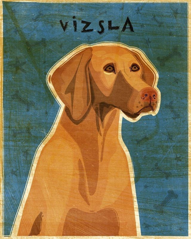 Vizsla Print 8 in x 10 in - product images