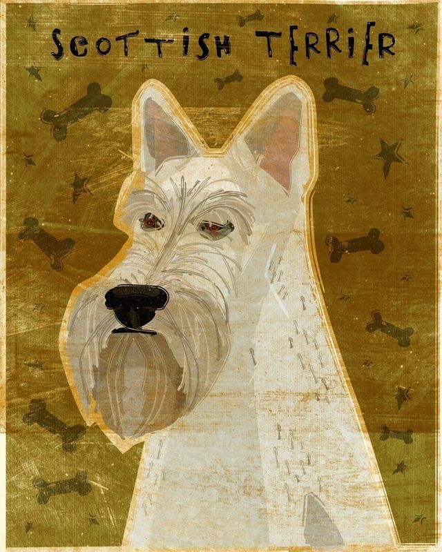 Scottish Terrier  Wheaten Print 8 x 10 - product images