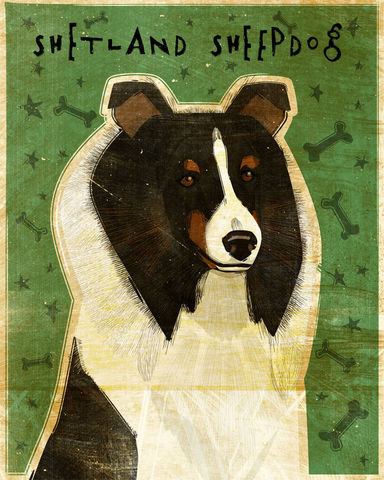 Shetland,Sheepdog,-,Tri-Color,Dog,Art,Print,8,in,x,10,Illustration,whimsical,cute,animals,dog_art,pet,puppy,Dog_Print,shetland_sheepdog,sheltie,tricolor,paper,ink