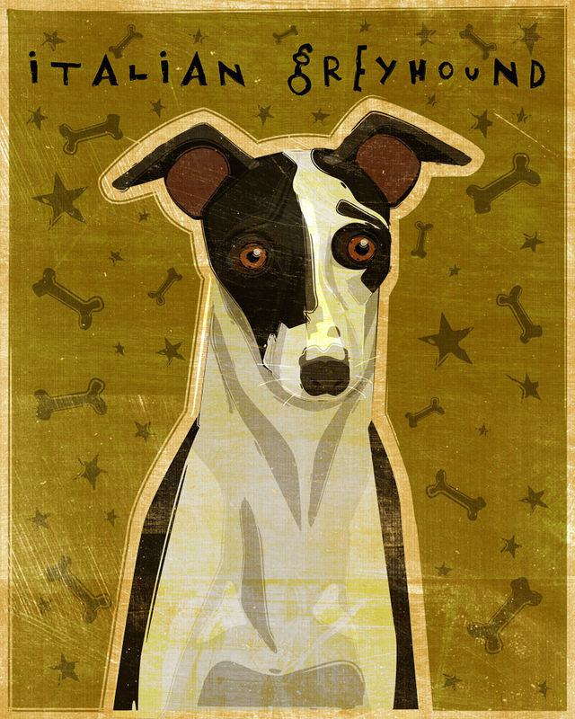 Italian Greyhound - Dog Art Print 8 in x 10 in - product images