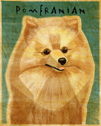 Pomeranian,-,Red,Dog,Art,Print,8,in,x,10,Illustration,whimsical,cute,animals,dog_art,pet,puppy,Dog_Print,Pomeranian_art,red,Pom,paper,ink