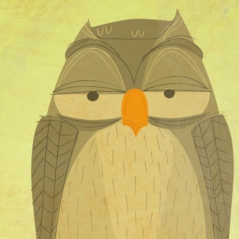 The,Sensible,Owl,Print,8,in,x,10,Art,Illustration,digital,owl,woodland,critter,johnwgolden,jewelry,children,green,paper,ink
