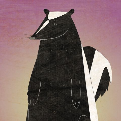The,Disgruntled,Skunk,Print,children,kids,art,illustration,print,digital,paper,critter,skunk,pink,purple,computer