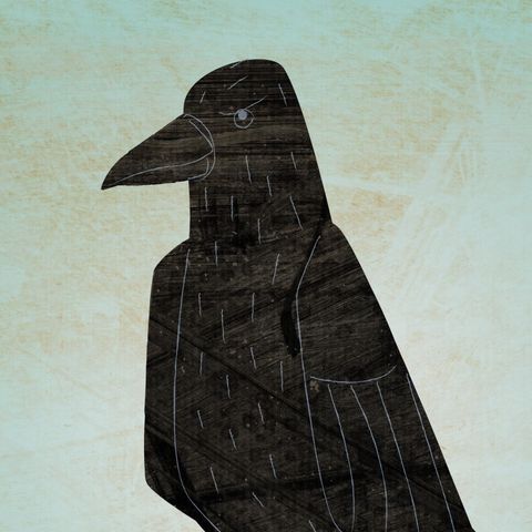 The,Quick-witted,Crow,Print,children,illustration,print,digital,animal,art,crow,bird,paper,ink