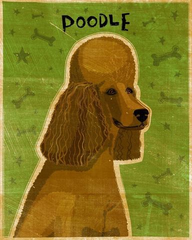 Brown,Poodle,Print,8,in,x,10,Art,Illustration,digital,whimsical,cute,dog,animals,animal,poodle,brown,chocolate,green,paper,ink