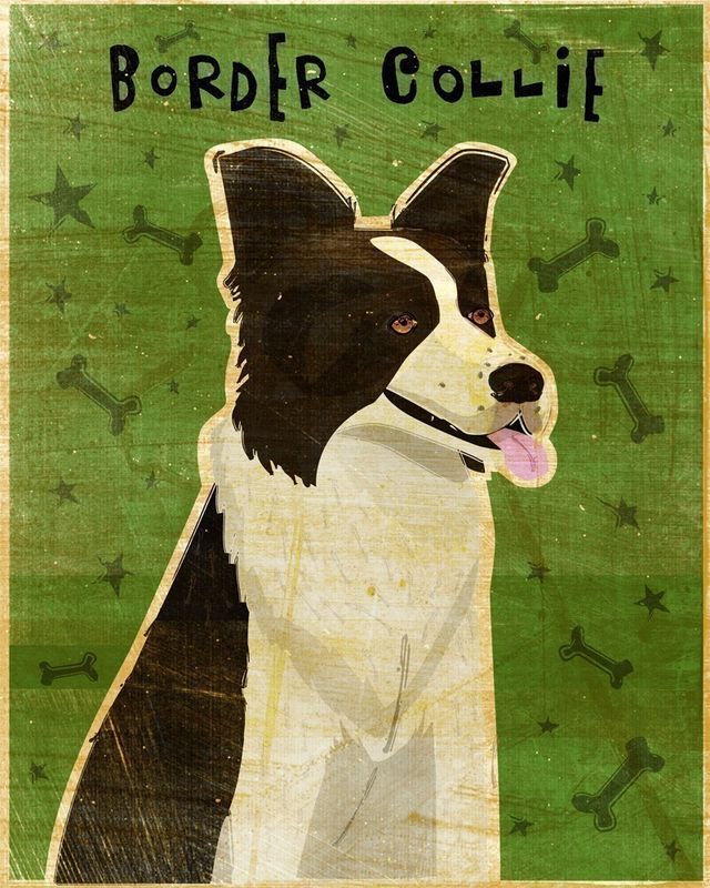 Border Collie Print - product images