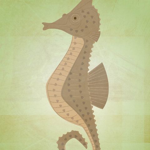 The,Patient,Seahorse,Print,Children,Art,illustration,print,digital,critter,johnwgolden,art,ocean,sea,seahorse,fish,nursery,green,brown,paper,ink