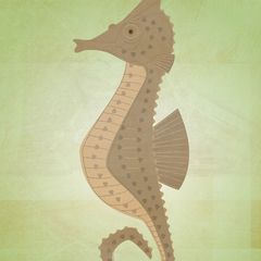 Product images  of 