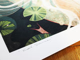 product images  of 