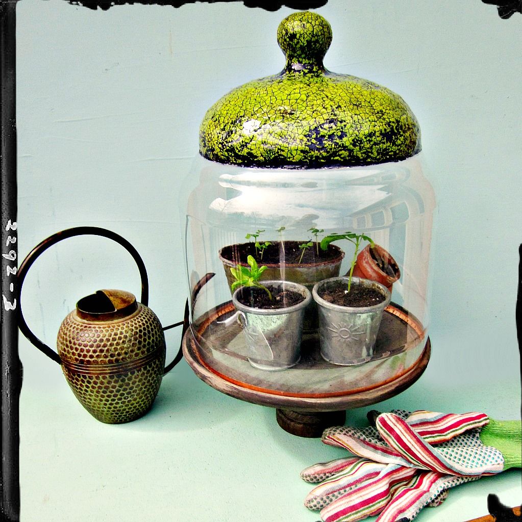 Handmade Crackled Green Paper Mache and Plastic Cloche Jar Sylvia