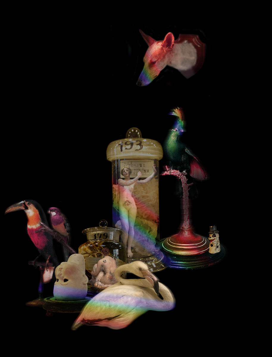 NATURAL HISTORY / RAINBOWS SILK SCARF - £160