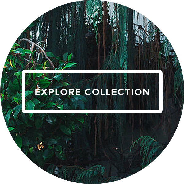 Explore more silk scarves from the Galapagos collection