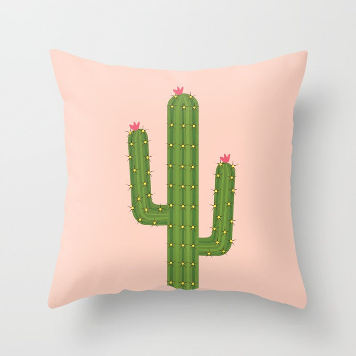 pillow cactus
