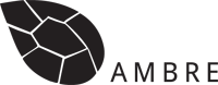 AMBRE