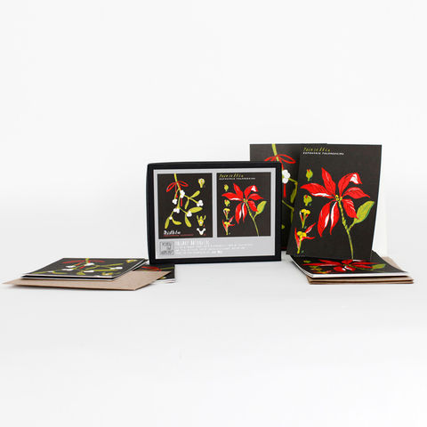 Holiday,Botanical,Card,Set,yellow owl workshop, christine schmidt, card sets, botanical card set, mistletoe card, poinsettia card, holiday card set
