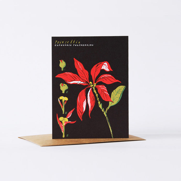 botanical card - poinsettia - product images