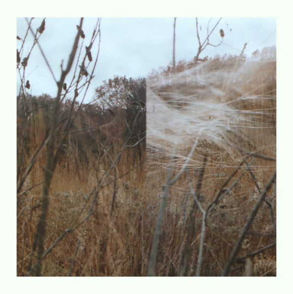 Benoît Honoré Pioulard – Plays Thelma LP - product images