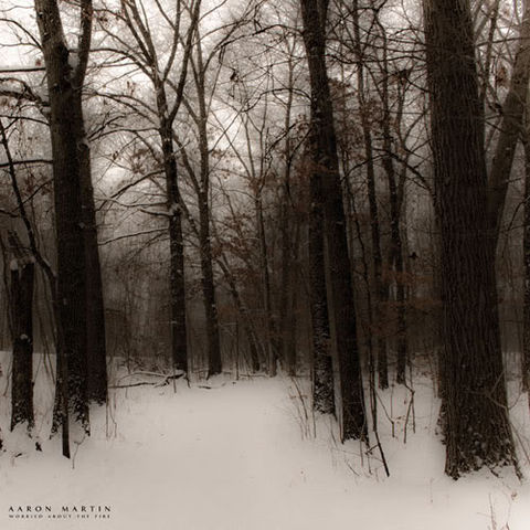 Aaron,Martin,–,Worried,About,The,Fire,LP,Aaron Martin, Worried About The Fire, Experimedia, 2010, vinilo, comprar, twosteprecords, two step records, Two-Step Records