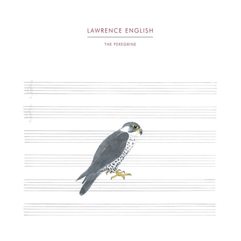 Lawrence,English,–,The,Peregrine,LP,Lawrence English, The Peregrine, Experimedia, LP, 2011, vinilo, comprar, twosteprecords, two step records, Two-Step Records