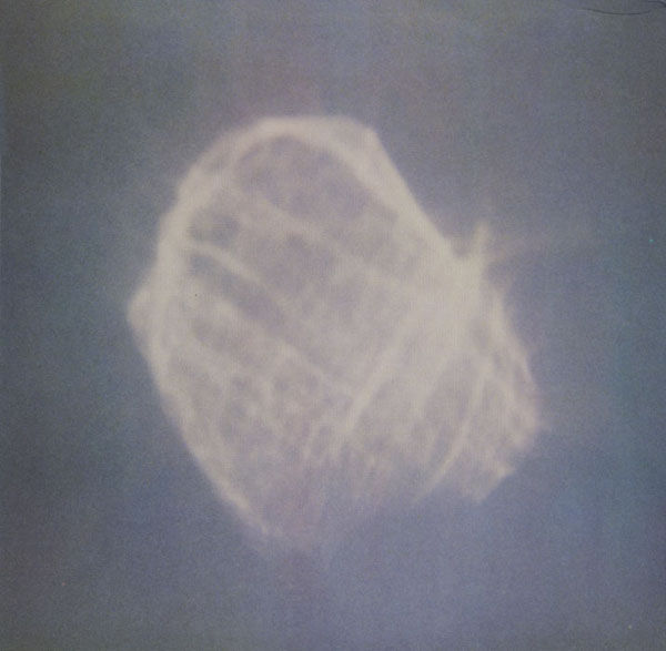 Benoît Pioulard – Précis + Temper 2xLP - product images  of 