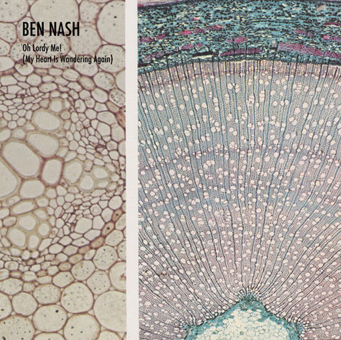 Ben,Nash,-,Oh,Lordy,Me!,(My,Heart,Is,Wandering,Again),LP,Ben Nash, Oh Lordy Me! (My Heart Is Wandering Again), LP, Blackest Rainbow, vinilo, comprar, twosteprecords, two step records, Two-Step Records
