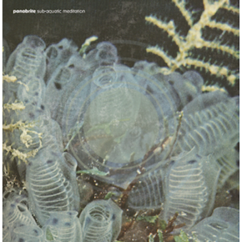 Panabrite,–,Sub,Aquatic,Meditation,LP, Sub Aquatic Meditation, LP, Aguirre, vinyl, vinilo
