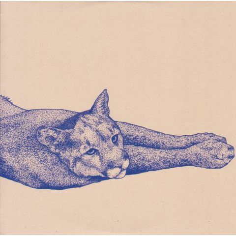 Koen,Holtkamp,–,Field,Rituals,CD,Koen Holtkamp, Field Rituals, CD, Type, vinilo, comprar, twosteprecords, two step records, Two-Step Records