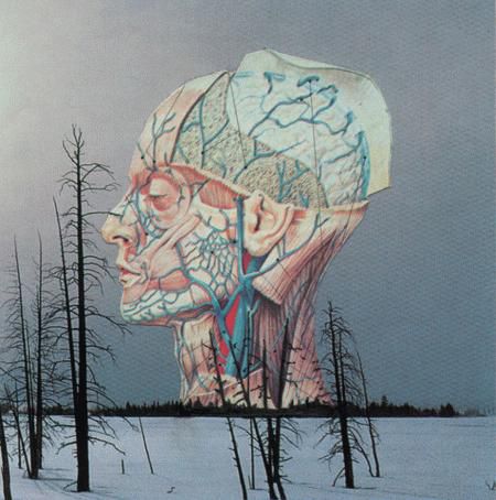 Low,–,Songs,For,A,Dead,Pilot,EP, Songs For A Dead Pilot, EP, vinilo, Kranky